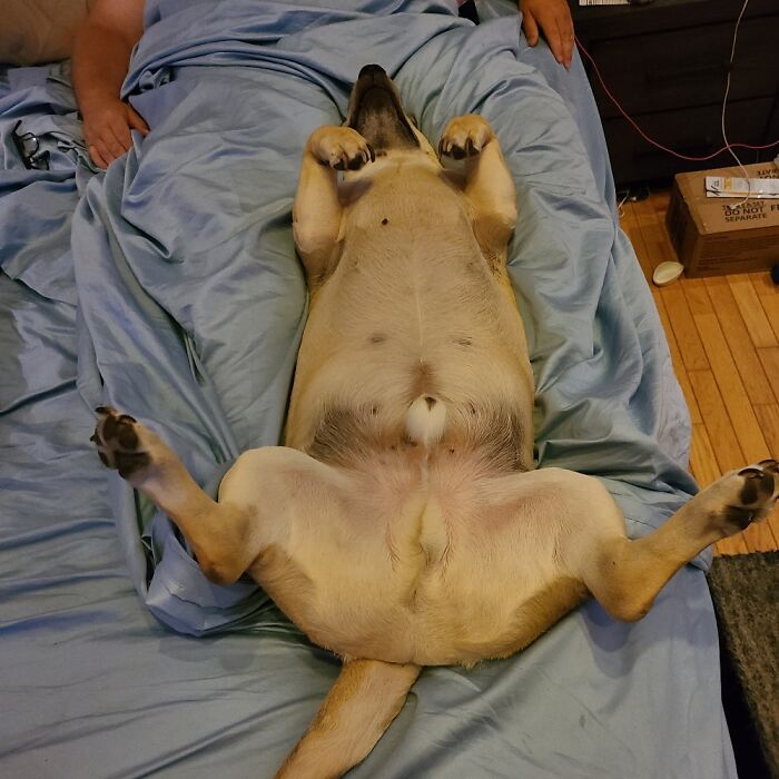 Hey Pandas, Post The Strangest And Funniest Photos Of Your Favorite Animals (Closed)