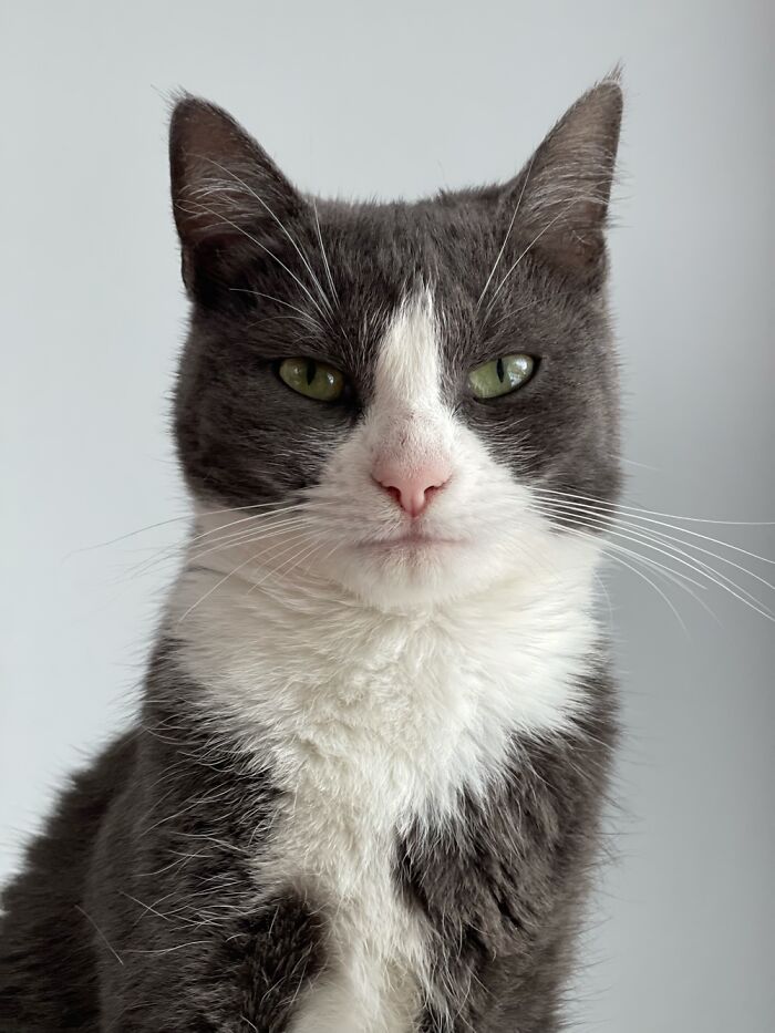 Hey Pandas, Post The Strangest And Funniest Photos Of Your Favorite Animals (Closed)