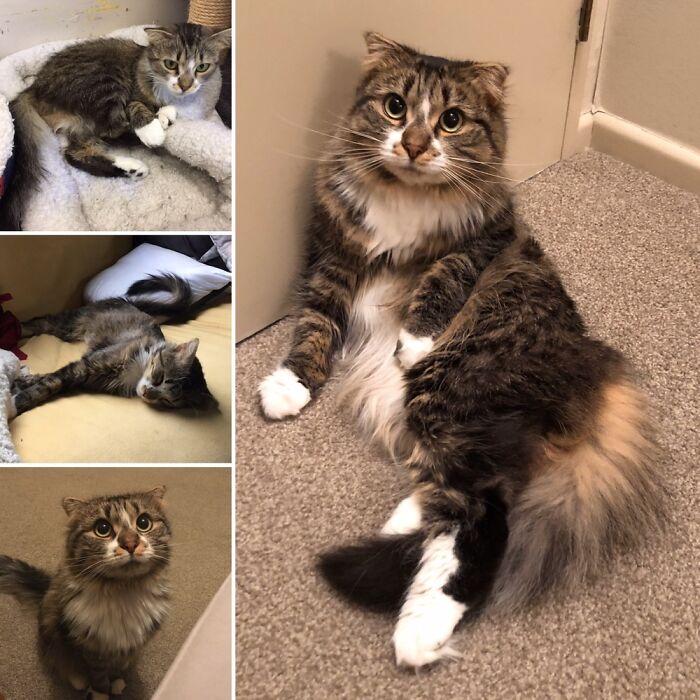 Hey Pandas, Show A Pic Of Your Pets Then And Now (Closed) Hey Pandas, Show A Pic Of Your Pets Then And Now (Closed)