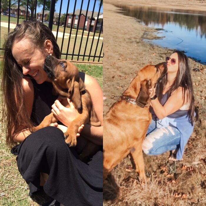 Hey Pandas, Show A Pic Of Your Pets Then And Now (Closed) Hey Pandas, Show A Pic Of Your Pets Then And Now (Closed)