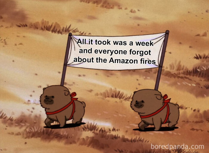 30 Environmental Memes That People Who Are Sick Of Capitalism Destroying The Planet Can Relate To, As Shared On This Page