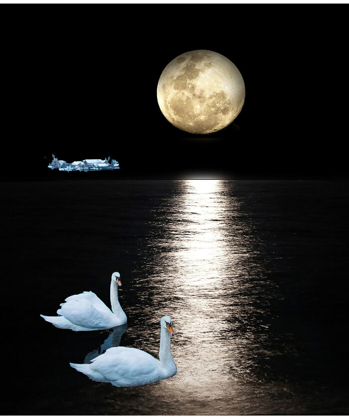 Hey Pandas, Show Me Your Pet (Closed)