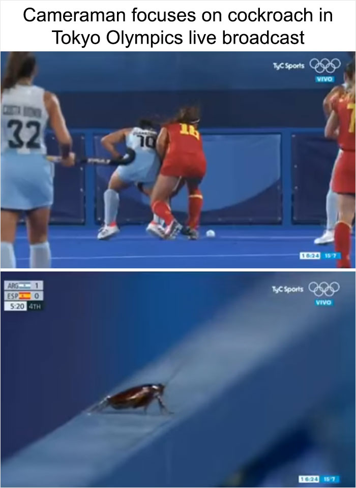 45 Of Funniest Olympic Memes From The Tokyo Games 45 Of Funniest Olympic Memes From The Tokyo Games