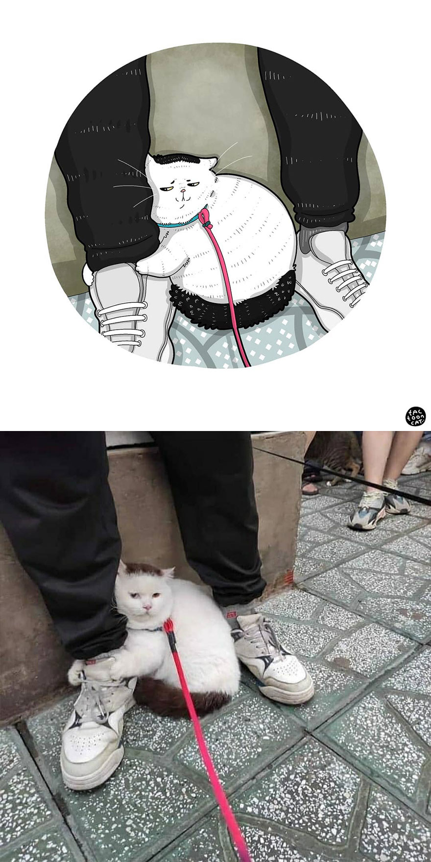 40 Of The Funniest Internet-Famous Cat Pics Get Illustrated By Tactooncat (New Pics) 40 Of The Funniest Internet-Famous Cat Pics Get Illustrated By Tactooncat (New Pics)