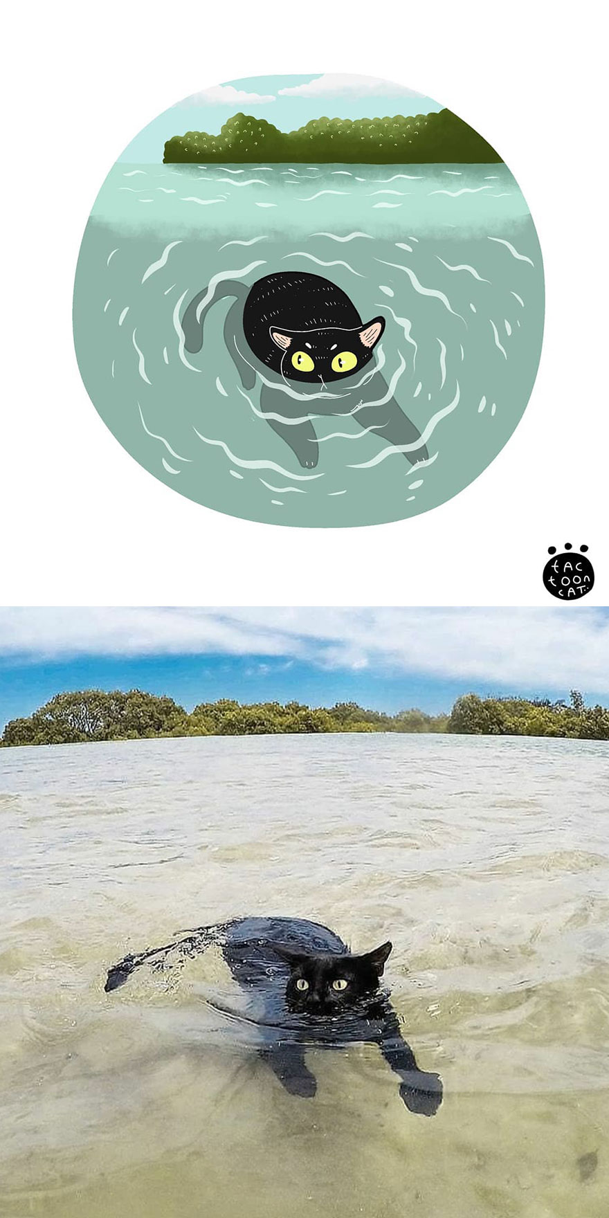 40 Of The Funniest Internet-Famous Cat Pics Get Illustrated By Tactooncat (New Pics) 40 Of The Funniest Internet-Famous Cat Pics Get Illustrated By Tactooncat (New Pics)