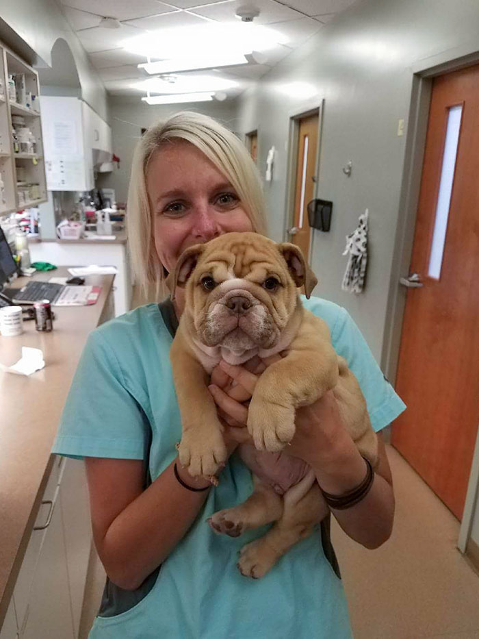50 Times Vets Encountered The Cutest Pets At Work And Just Had To Take A Picture