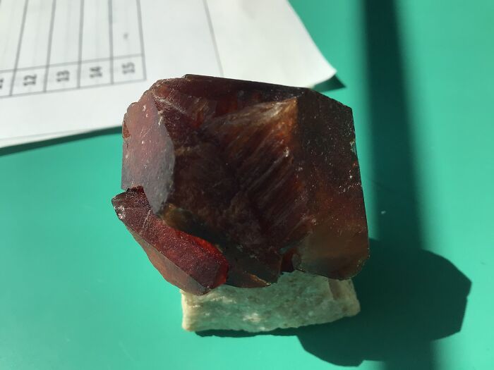 Hey Pandas, Tell Us About Your Pets (Closed) Hey Pandas, Tell Us About Your Pets (Closed)