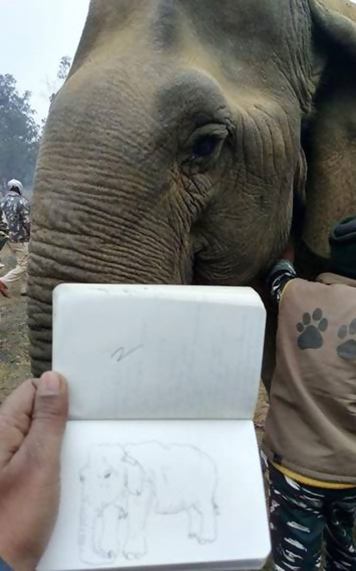 40 Really Cool And Interesting Facts, As Shared By The ‘Today I Learned’ Online Community