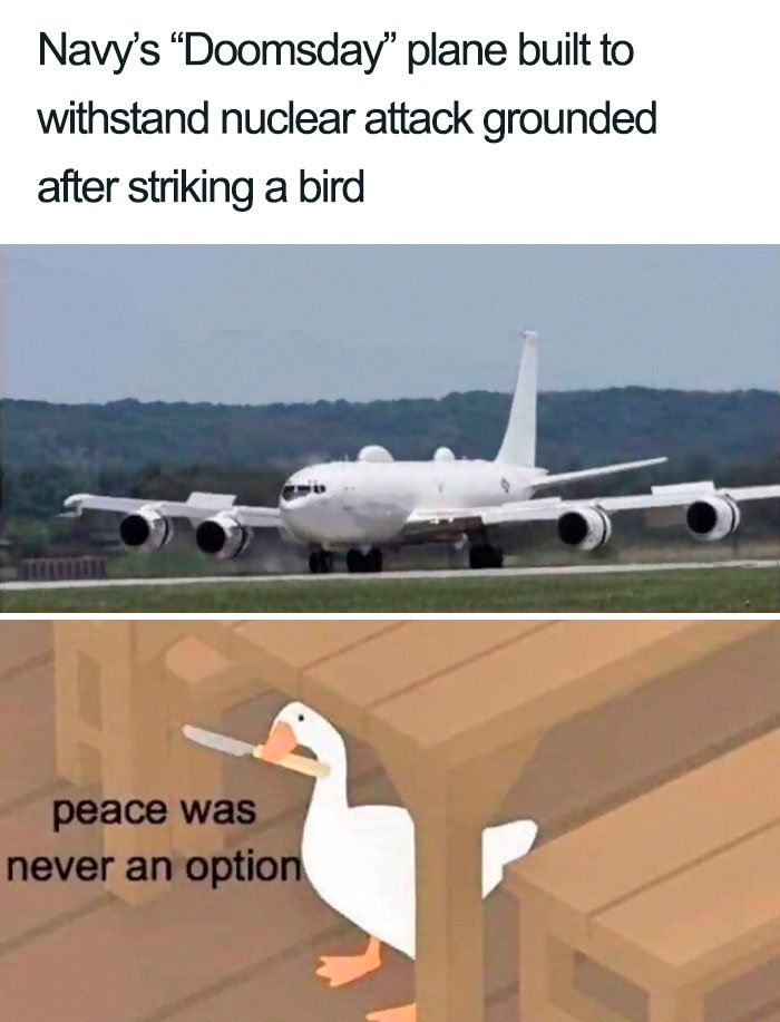 People Shared 50 Fails And Accidents So Expensive, It Hurts To Watch (New Pics) People Shared 50 Fails And Accidents So Expensive, It Hurts To Watch (New Pics)