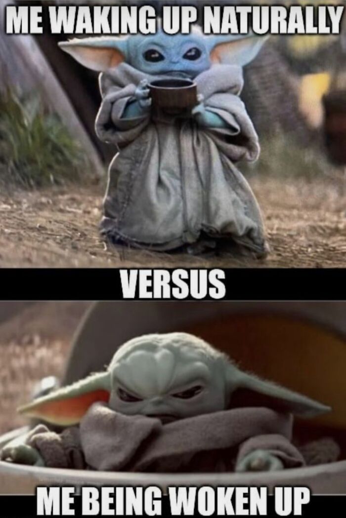 Hey Pandas, You’ve Just Been Arrested, And Whether You’re Freed Or Not Depends On The Last Meme You’ve Saved On Your Phone. How’s It Looking? (Closed) Hey Pandas, You’ve Just Been Arrested, And Whether You’re Freed Or Not Depends On The Last Meme You’ve Saved On Your Phone. How’s It Looking? (Closed)