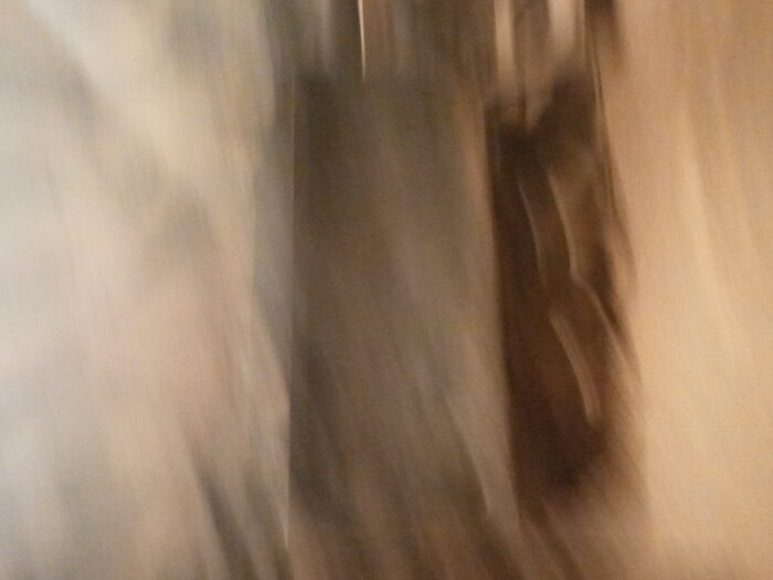 Hey Pandas, What Is The Worst Photo You&#8217;ve Ever Taken?