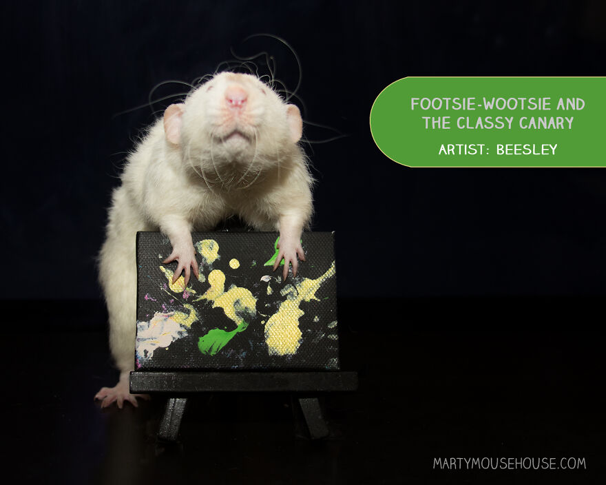 My Rats Make Art And Spread Happiness In Their Paintings My Rats Make Art And Spread Happiness In Their Paintings