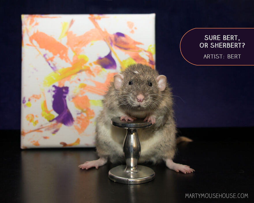 My Rats Make Art And Spread Happiness In Their Paintings My Rats Make Art And Spread Happiness In Their Paintings
