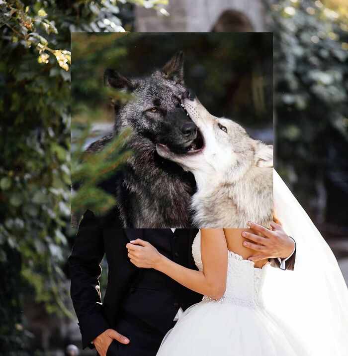 Here Are 50 Crazy Photo Collages By Turkish Artist Here Are 50 Crazy Photo Collages By Turkish Artist