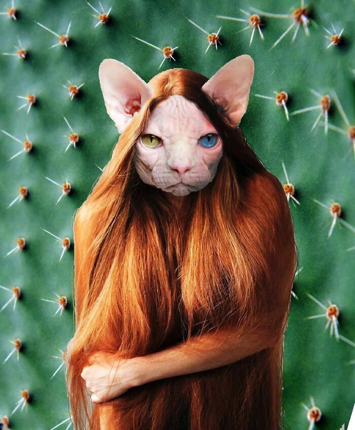 Here Are 50 Crazy Photo Collages By Turkish Artist Here Are 50 Crazy Photo Collages By Turkish Artist