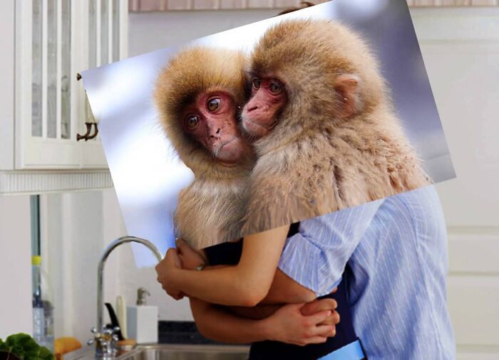 Here Are 50 Crazy Photo Collages By Turkish Artist Here Are 50 Crazy Photo Collages By Turkish Artist