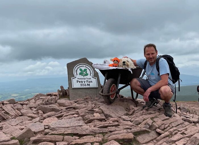 Heart-Gripping Photos Show A Man Taking His Sick Dog For ‘One Final Adventure’ In A Wheelbarrow Heart-Gripping Photos Show A Man Taking His Sick Dog For ‘One Final Adventure’ In A Wheelbarrow