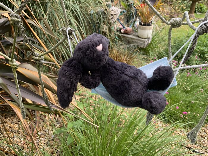 Hey Pandas, Can You Think Of Uses For Facemasks Post-Pandemic? (Closed) Hey Pandas, Can You Think Of Uses For Facemasks Post-Pandemic? (Closed)