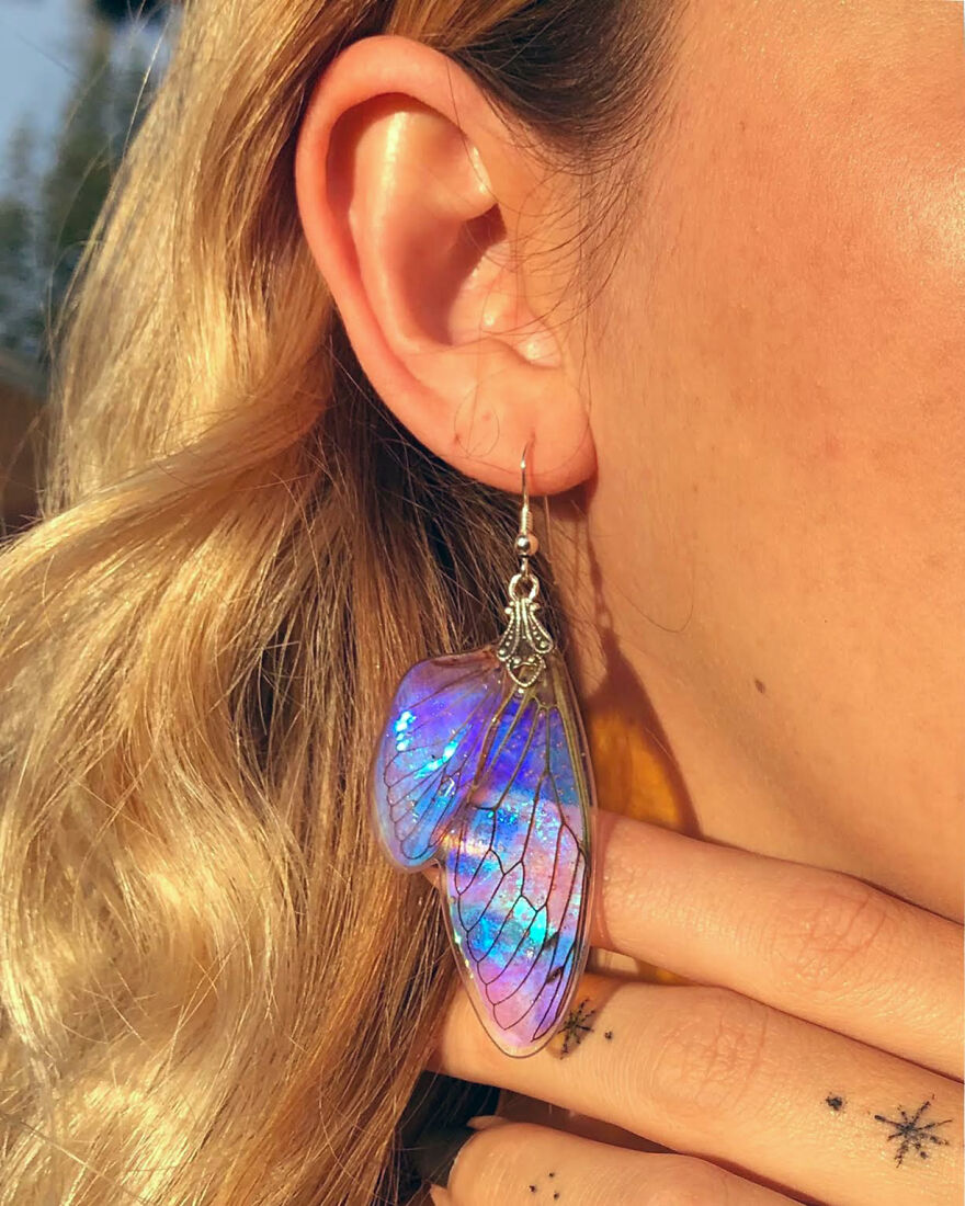 I Create Magical Pieces With Real Insect Wings To Give Them New Life