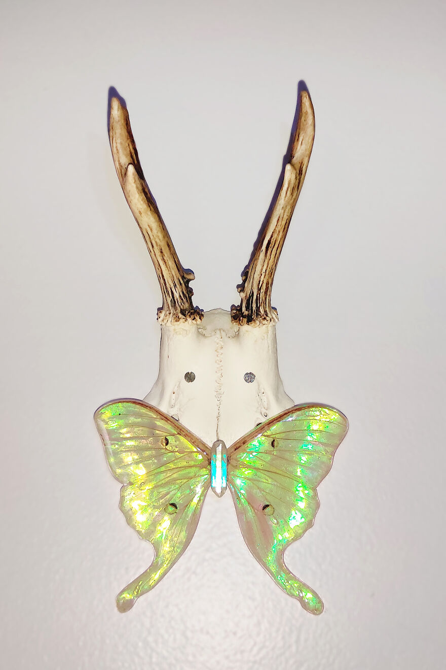 I Create Magical Pieces With Real Insect Wings To Give Them New Life