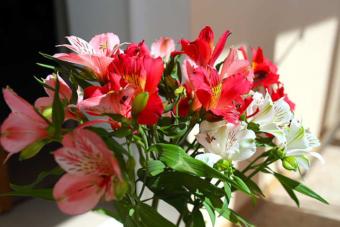 40 People In This Online Group Confess The Most Selfless Thing They’ve Done That No One Knows About