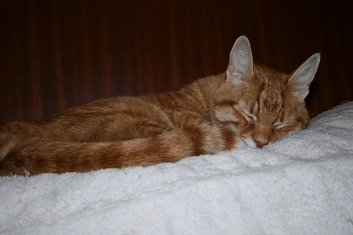 40 People In This Online Group Confess The Most Selfless Thing They’ve Done That No One Knows About