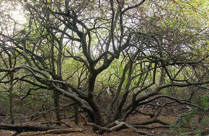 40 People In This Online Group Confess The Most Selfless Thing They’ve Done That No One Knows About