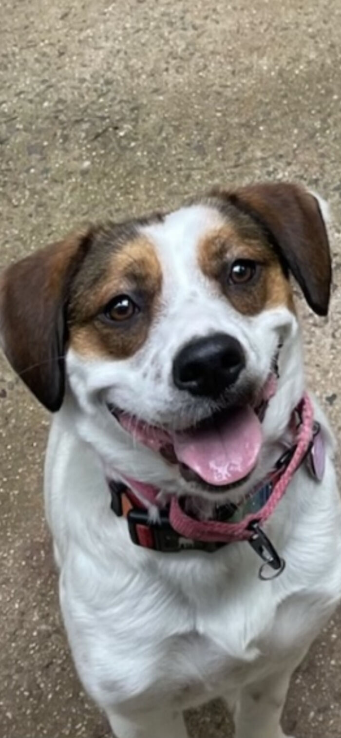 Hey Pandas, Show Me A Picture Of Your Rescue Pet (Closed) Hey Pandas, Show Me A Picture Of Your Rescue Pet (Closed)