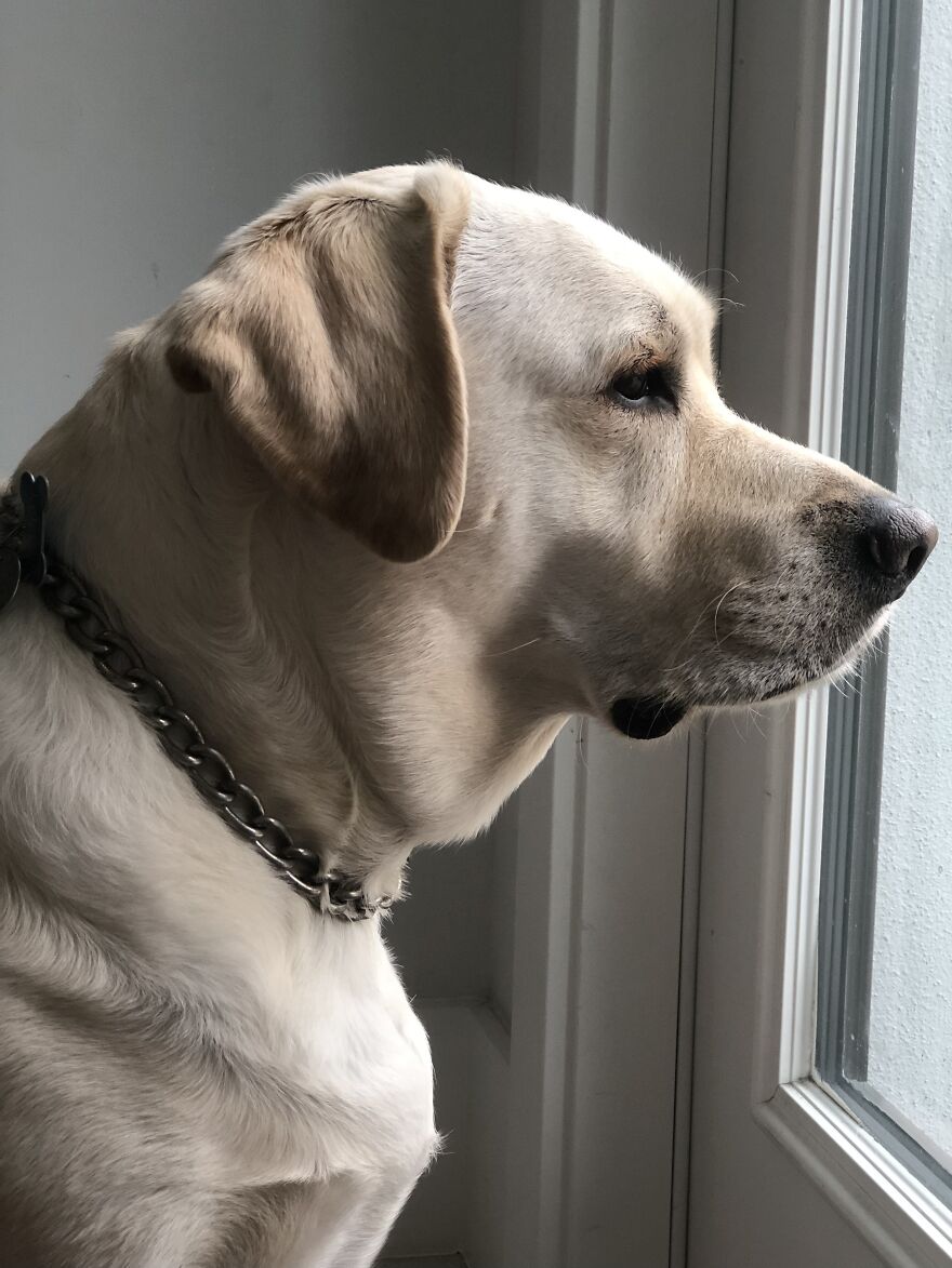 Hey Pandas, Post A Picture Of Your Pet Pulling Its Silliest Face (Closed) Hey Pandas, Post A Picture Of Your Pet Pulling Its Silliest Face (Closed)