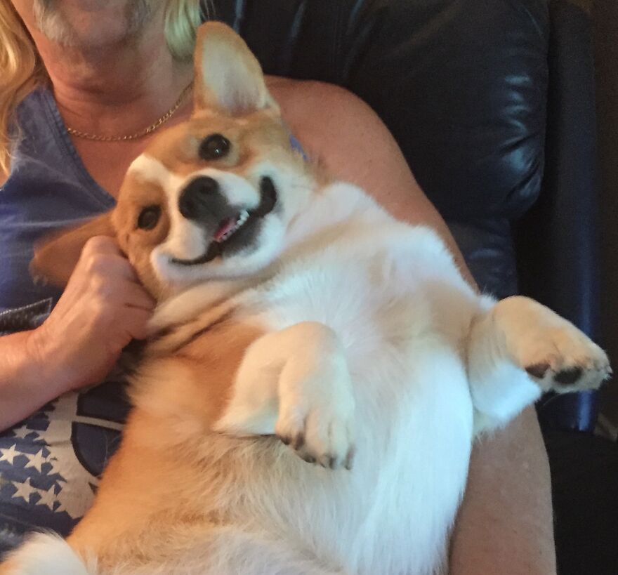 Hey Pandas, Post A Picture Of Your Pet Pulling Its Silliest Face (Closed) Hey Pandas, Post A Picture Of Your Pet Pulling Its Silliest Face (Closed)