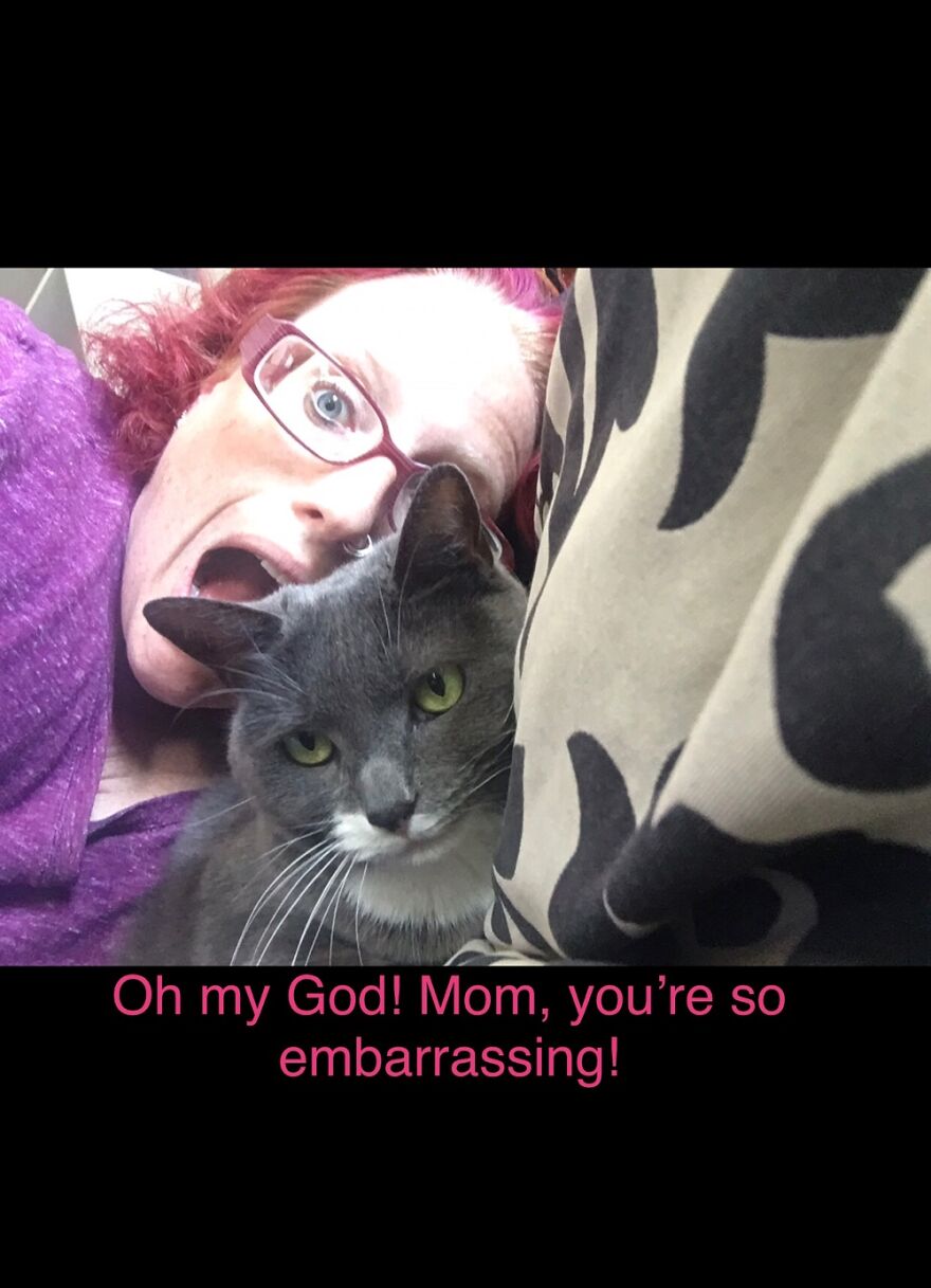 Hey Pandas, Post A Picture Of Your Pet Pulling Its Silliest Face (Closed) Hey Pandas, Post A Picture Of Your Pet Pulling Its Silliest Face (Closed)