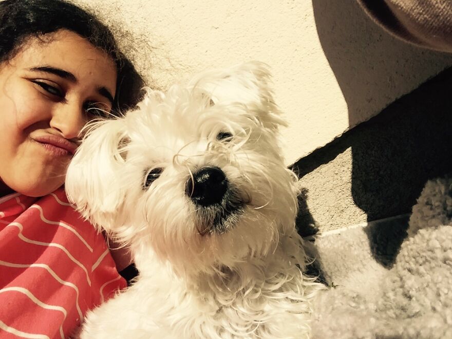 Hey Pandas, Post A Picture Of Your Pet Pulling Its Silliest Face (Closed) Hey Pandas, Post A Picture Of Your Pet Pulling Its Silliest Face (Closed)