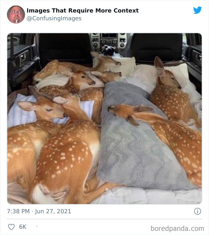 30 Funny And Confusing Pics Posted By The “Images That Require More Context” Twitter Page 30 Funny And Confusing Pics Posted By The “Images That Require More Context” Twitter Page