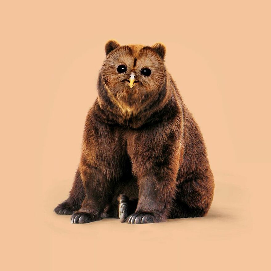 100 Photo Manipulations Of Animals Photoshopped Into The Most Random Things By Les Creatonautes 100 Photo Manipulations Of Animals Photoshopped Into The Most Random Things By Les Creatonautes
