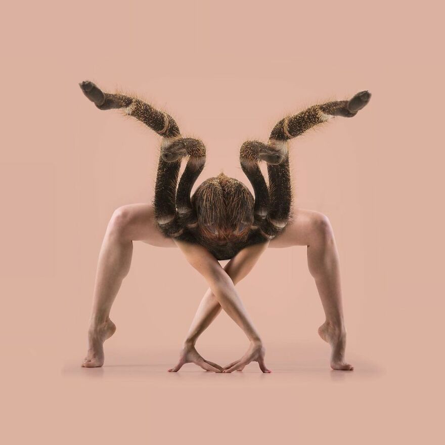 100 Photo Manipulations Of Animals Photoshopped Into The Most Random Things By Les Creatonautes 100 Photo Manipulations Of Animals Photoshopped Into The Most Random Things By Les Creatonautes