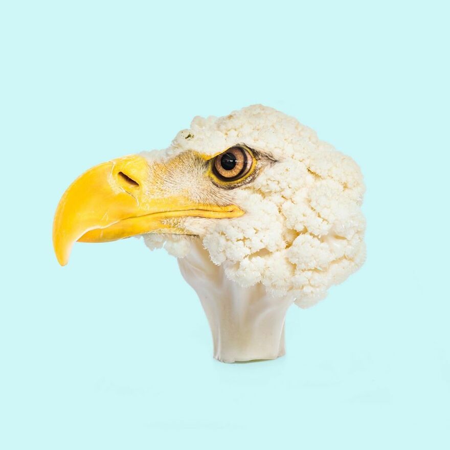 100 Photo Manipulations Of Animals Photoshopped Into The Most Random Things By Les Creatonautes 100 Photo Manipulations Of Animals Photoshopped Into The Most Random Things By Les Creatonautes