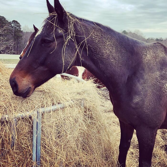 Hey Pandas, Share A Photo Of Your Pet That Is Rather Unflattering Hey Pandas, Share A Photo Of Your Pet That Is Rather Unflattering