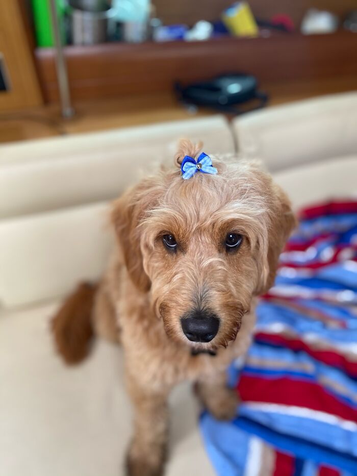 Hey Pandas, Share A Photo Of Your Pet That Is Rather Unflattering Hey Pandas, Share A Photo Of Your Pet That Is Rather Unflattering