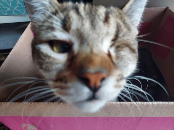 Hey Pandas, Share A Photo Of Your Pet That Is Rather Unflattering Hey Pandas, Share A Photo Of Your Pet That Is Rather Unflattering