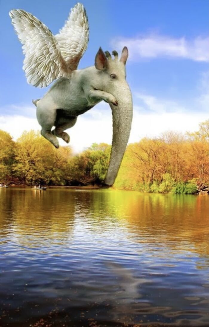 Hey Pandas, Post The Weirdest Photoshopped Picture You Have Ever Seen Hey Pandas, Post The Weirdest Photoshopped Picture You Have Ever Seen