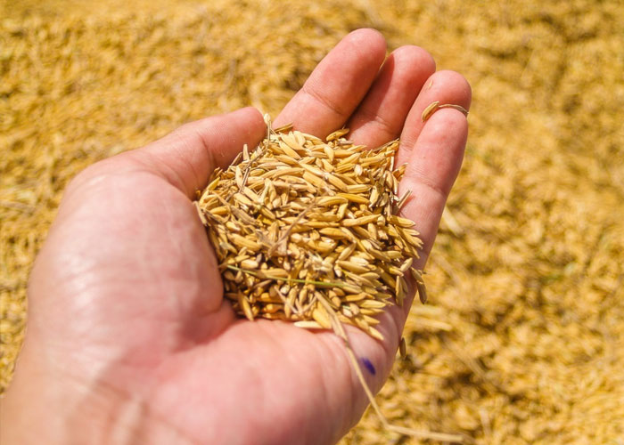 50 Interesting Things People Didn’t Learn At School And Decided To Share Them In This Online Group (New Pics) 50 Interesting Things People Didn’t Learn At School And Decided To Share Them In This Online Group (New Pics)