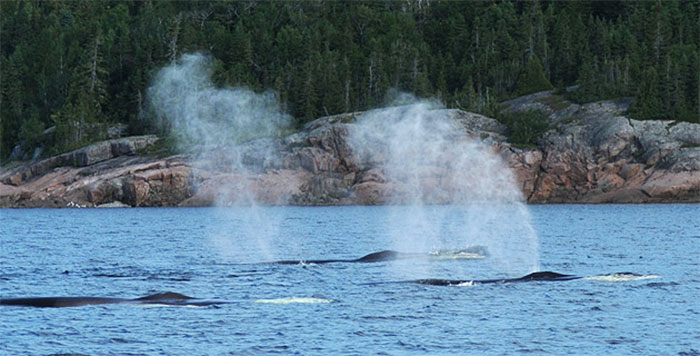 50 Interesting Things People Didn’t Learn At School And Decided To Share Them In This Online Group (New Pics) 50 Interesting Things People Didn’t Learn At School And Decided To Share Them In This Online Group (New Pics)