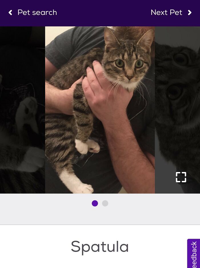 40 Hilariously-Creative Pet Names Shared By The “Petfinder Names” Twitter Page 40 Hilariously-Creative Pet Names Shared By The “Petfinder Names” Twitter Page