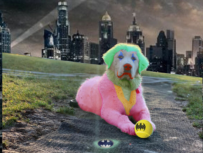 Hey Pandas, Photoshop My Dog To Be As Funny As Possible (Closed) Hey Pandas, Photoshop My Dog To Be As Funny As Possible (Closed)