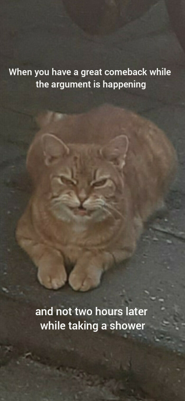 Hey Pandas, Share Your Own Meme (Closed)