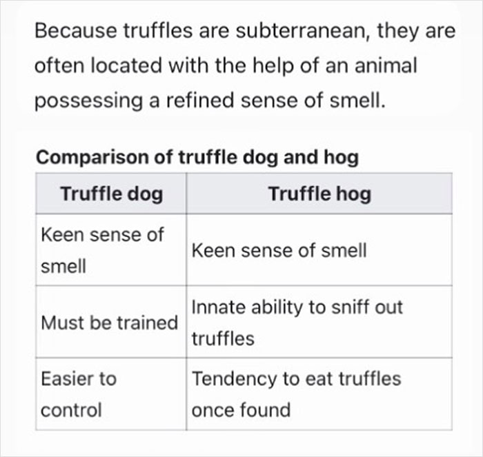 ‘Depths Of Wikipedia’: This Page Is Dedicated To The Weird Side Of Wikipedia And Here Are 30 Of The Best Examples