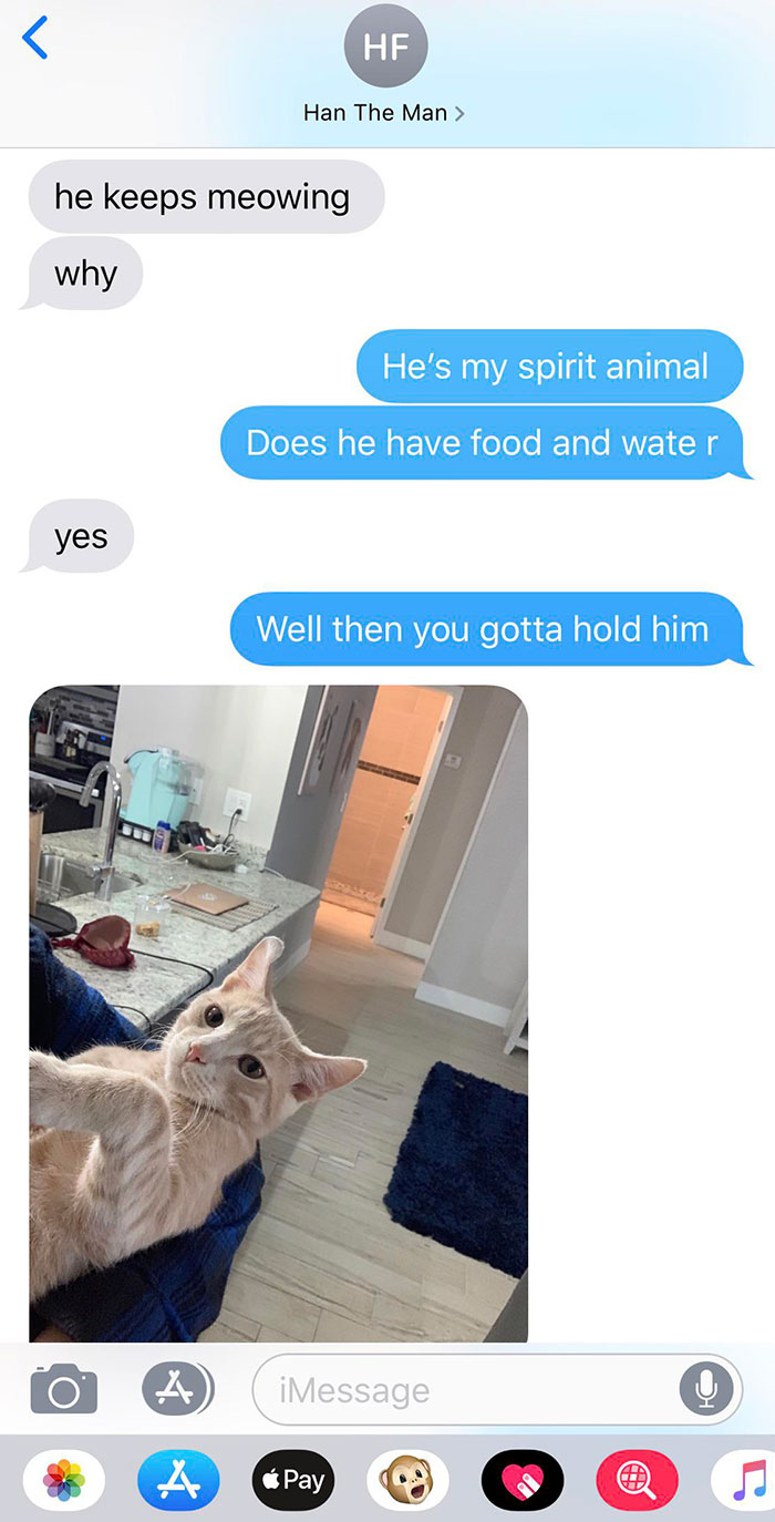 50 Spoiled Cats That Probably Live Better Than You (New Pics) 50 Spoiled Cats That Probably Live Better Than You (New Pics)