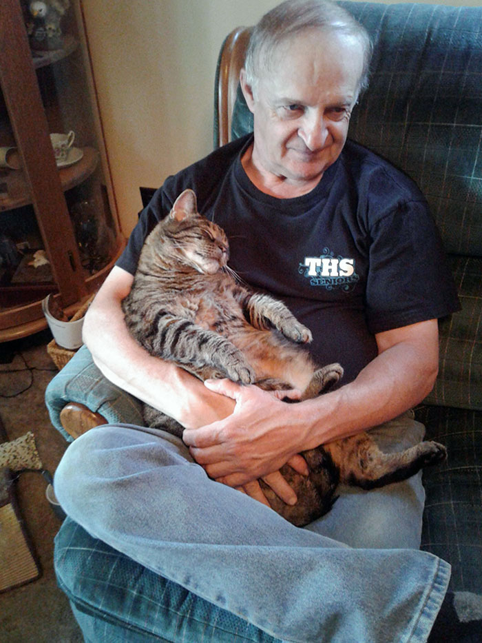 50 Spoiled Cats That Probably Live Better Than You (New Pics) 50 Spoiled Cats That Probably Live Better Than You (New Pics)