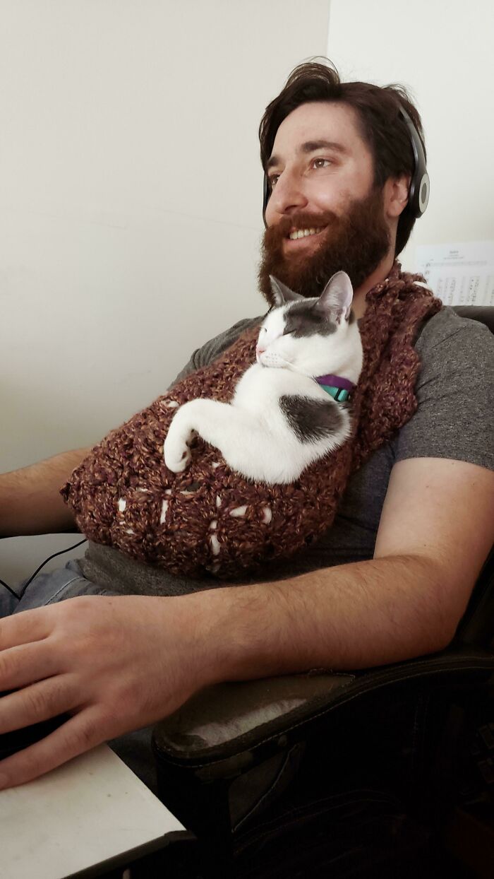 50 Spoiled Cats That Probably Live Better Than You (New Pics) 50 Spoiled Cats That Probably Live Better Than You (New Pics)