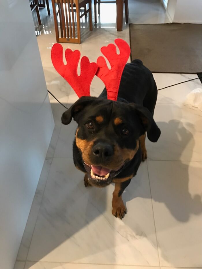 Hi Pandas, Post A Cute Animal Picture That Made You Smile (Closed)